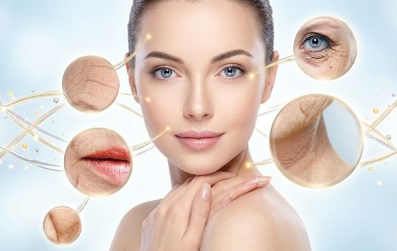 Еластин: секрет пружності та молодості вашої шкіри